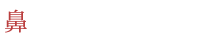 鼻